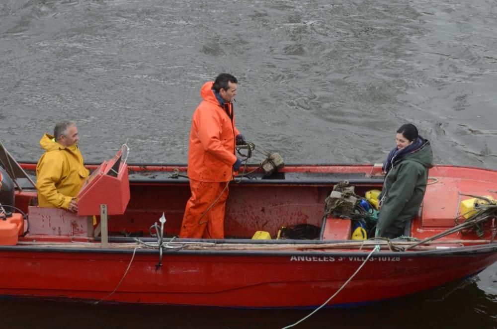 Pesca de lamprea en el río Ulla