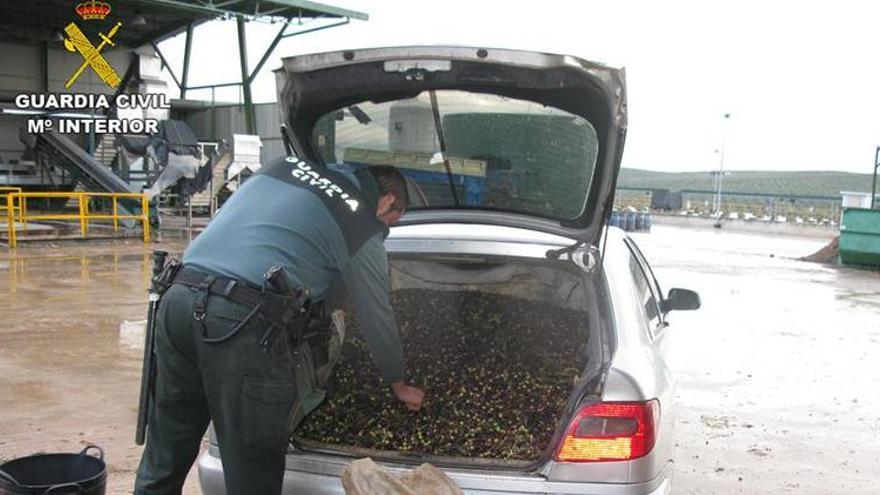 La Guardia Civil recupera más de 15 toneladas de aceituna