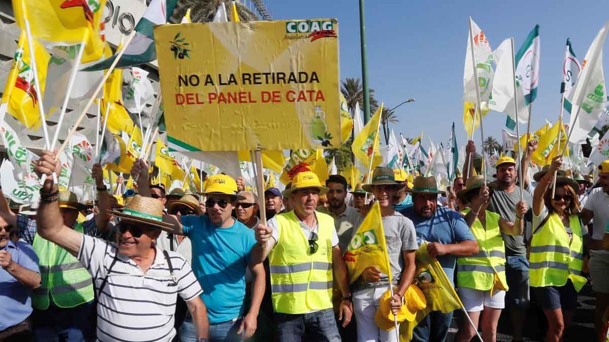 Protesta de olivareros en Sevilla por el precio del aceite de oliva.