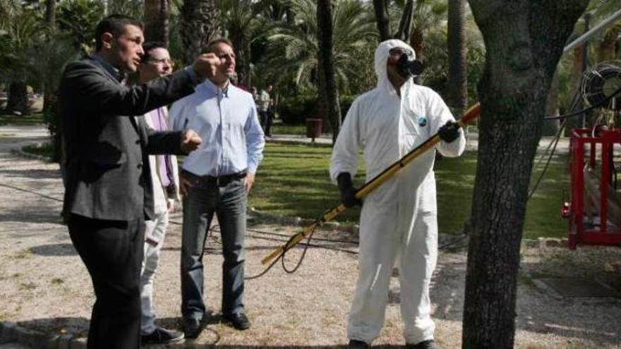 Manuel Rodríguez, Elías Pacheco y Víctor Cerezo contemplan los trabajos de pulverización.