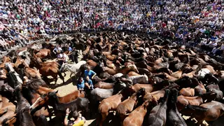 La Rapa das Bestas de Sabucedo se despide con aforo completo