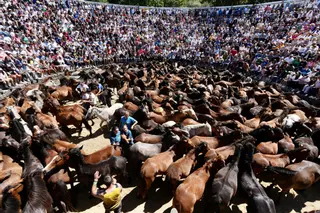 Las espectaculares imágenes que nos deja este lunes de Rapa que se despide con lleno y medios acreditados de 13 países