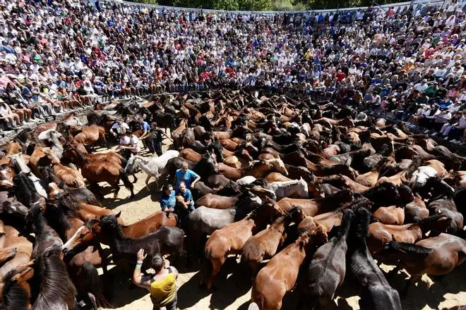 Las espectaculares imĂĄgenes que nos deja este lunes de Rapa que se despide con lleno y medios acreditados de 13 paĂses