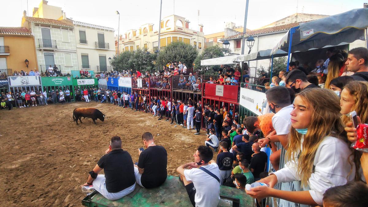 El recinto taurino de la Vila ha tenido una gran afluencia de público un día más.