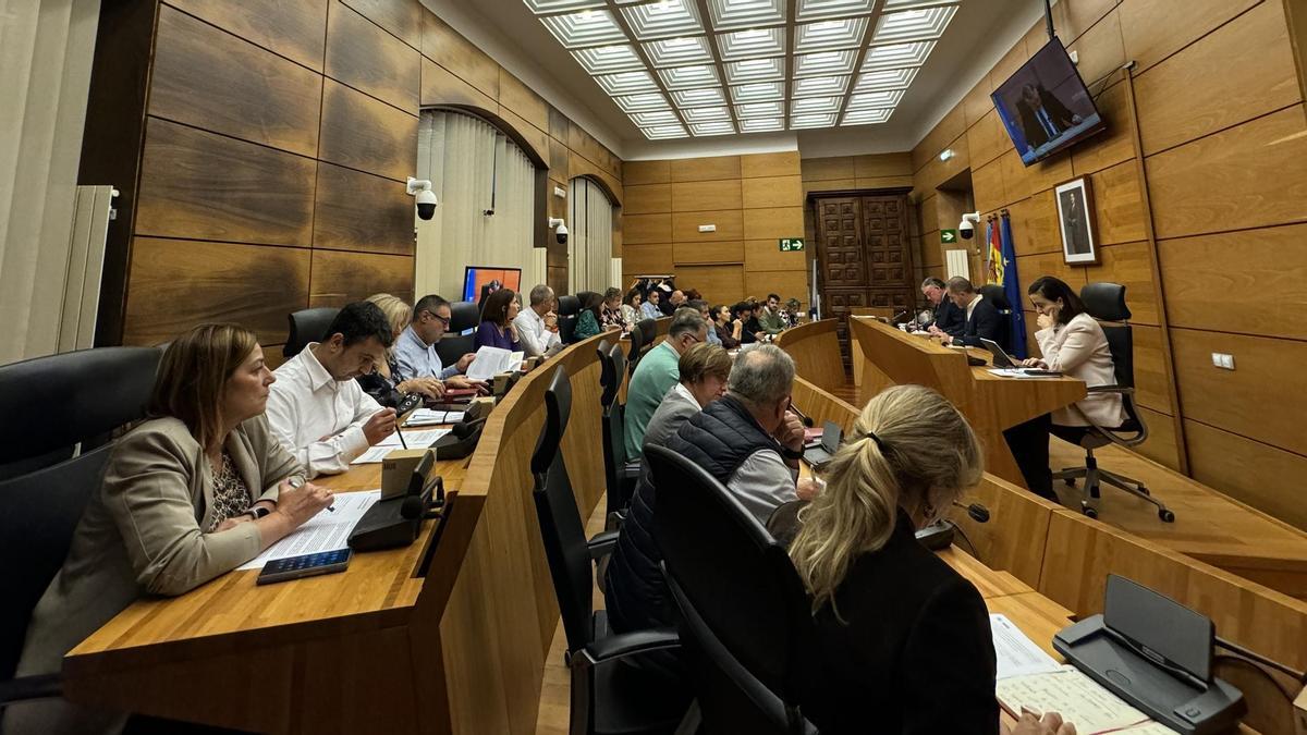Un momento del pleno de este jueves.