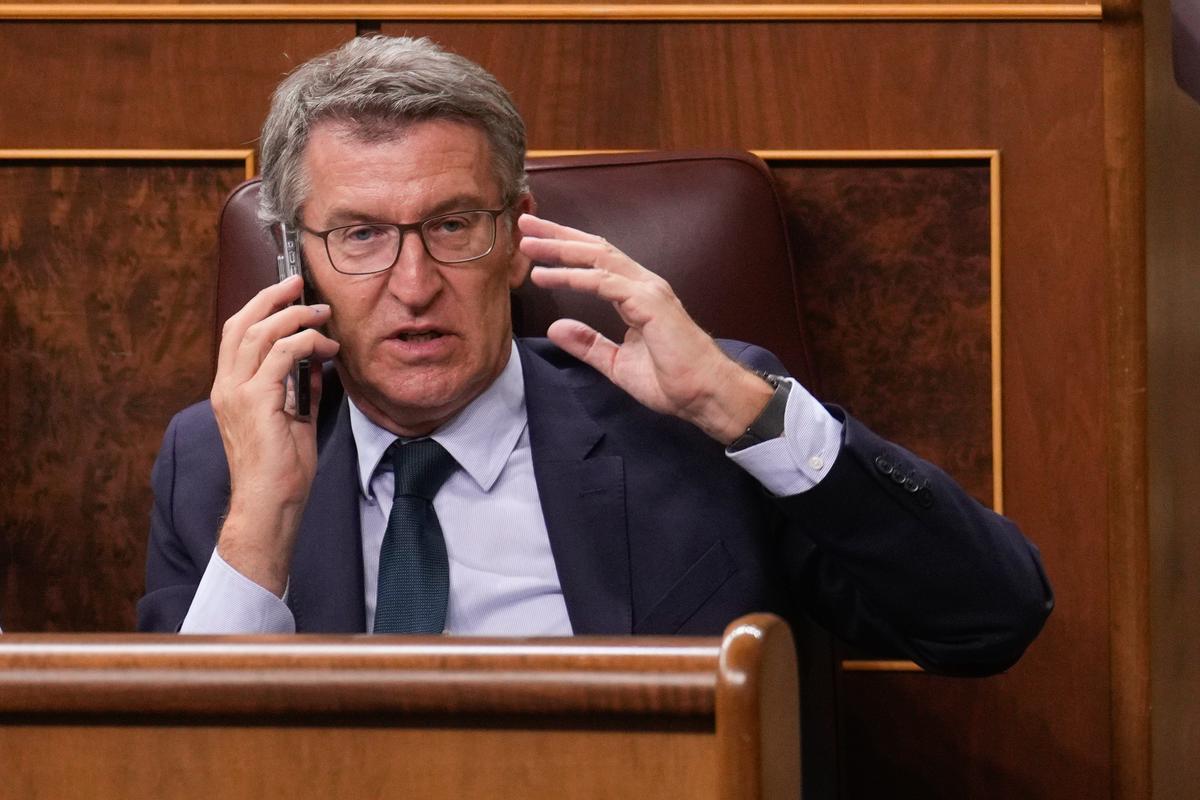 El líder del PP, Alberto Núñez Feijóo, asiste al pleno del Congreso de los Diputados el pasado martes.