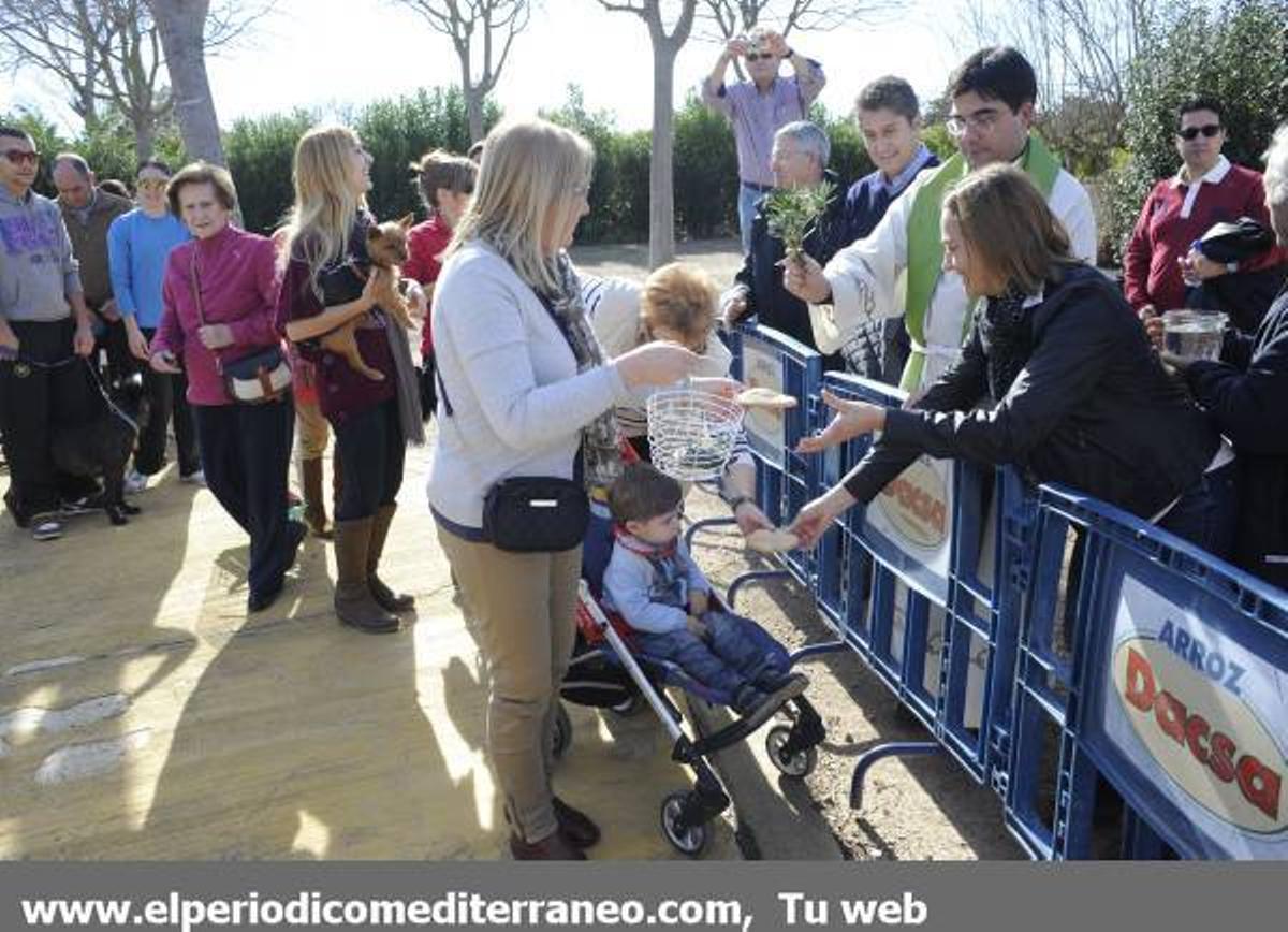 GALERÍA FOTOS: Castellón celebra Sant Antoni