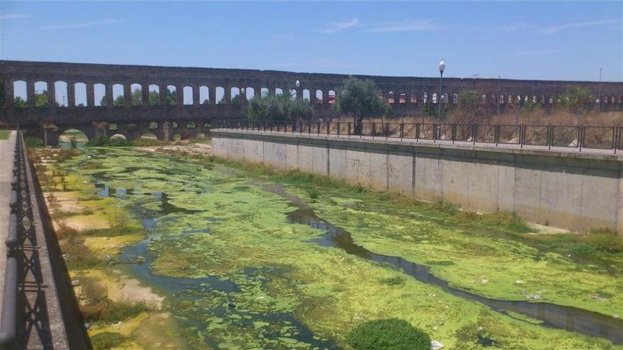 Un jardinero sufre traumatismos severos al caer con una máquina al río Albarregas en Mérida