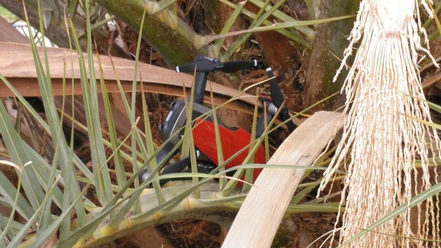 La Policía Local denuncia a un turista por soltar un dron en el centro de València