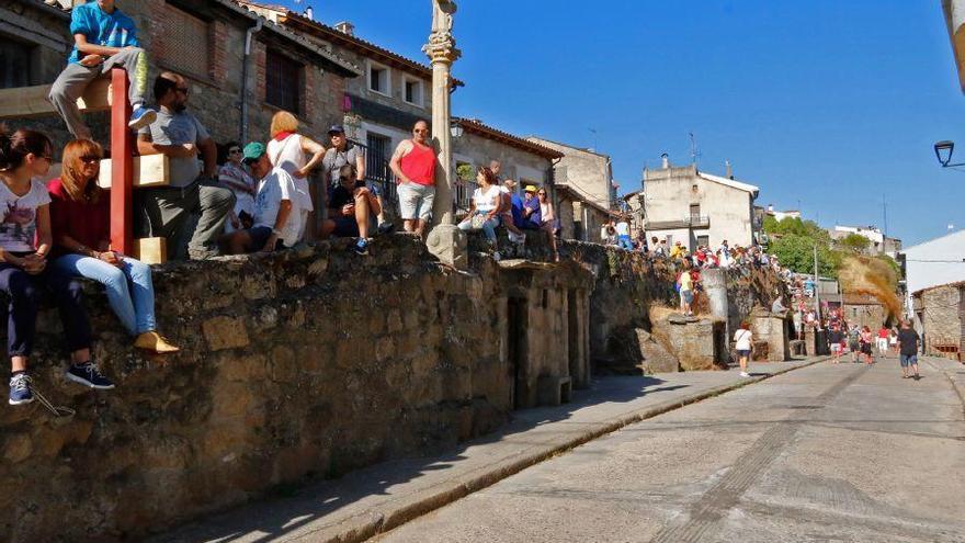 Fiestas en Zamora: Último encierro en Fermoselle