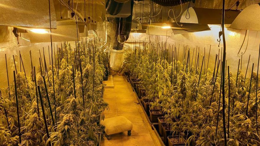 Els Mossos redueixen un 80% les ocupacions il·legals a Olivella, la majoria associades a la marihuana