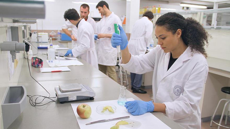 La formación práctica es esencial en el modelo educativo de la UCAM