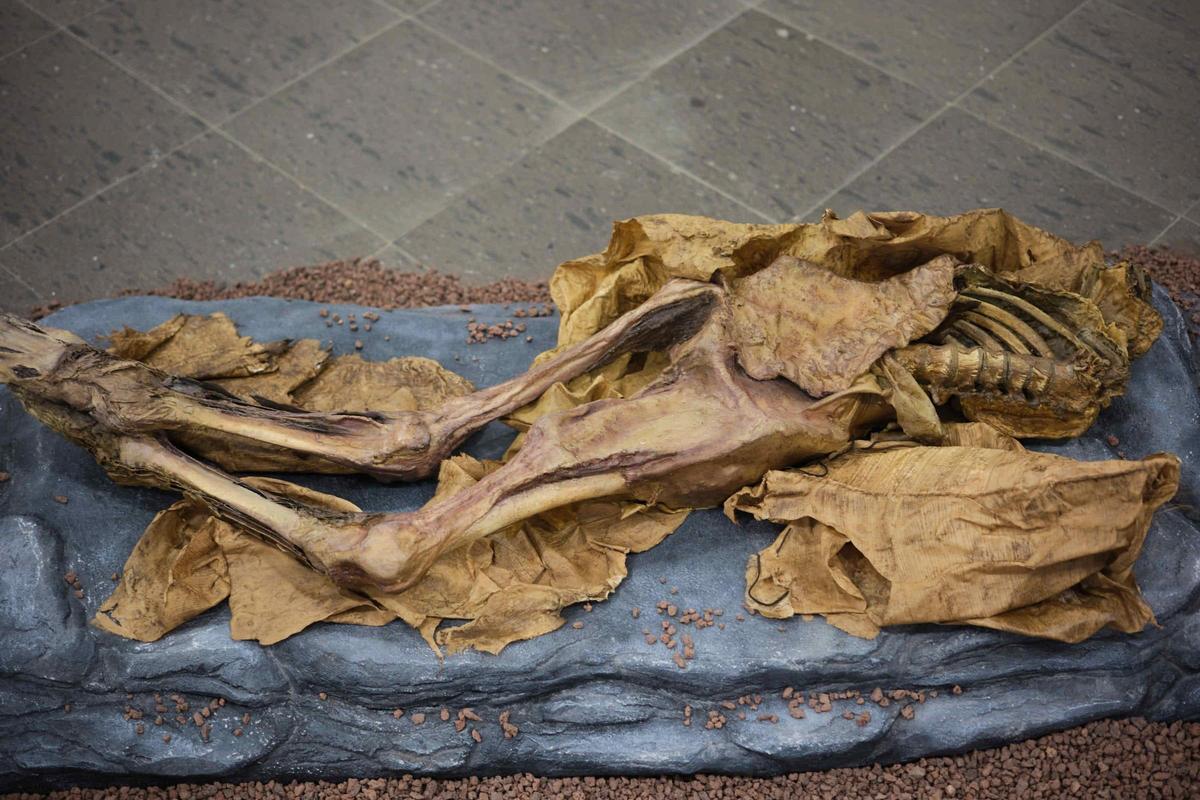 Exposición 'Memento Mori. El sentido de la muerte en Canarias'