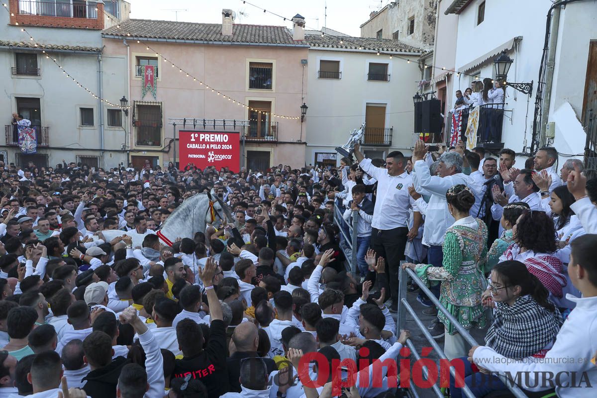 Entrega de premios del concurso de 'Caballo a pelo' en Caravaca