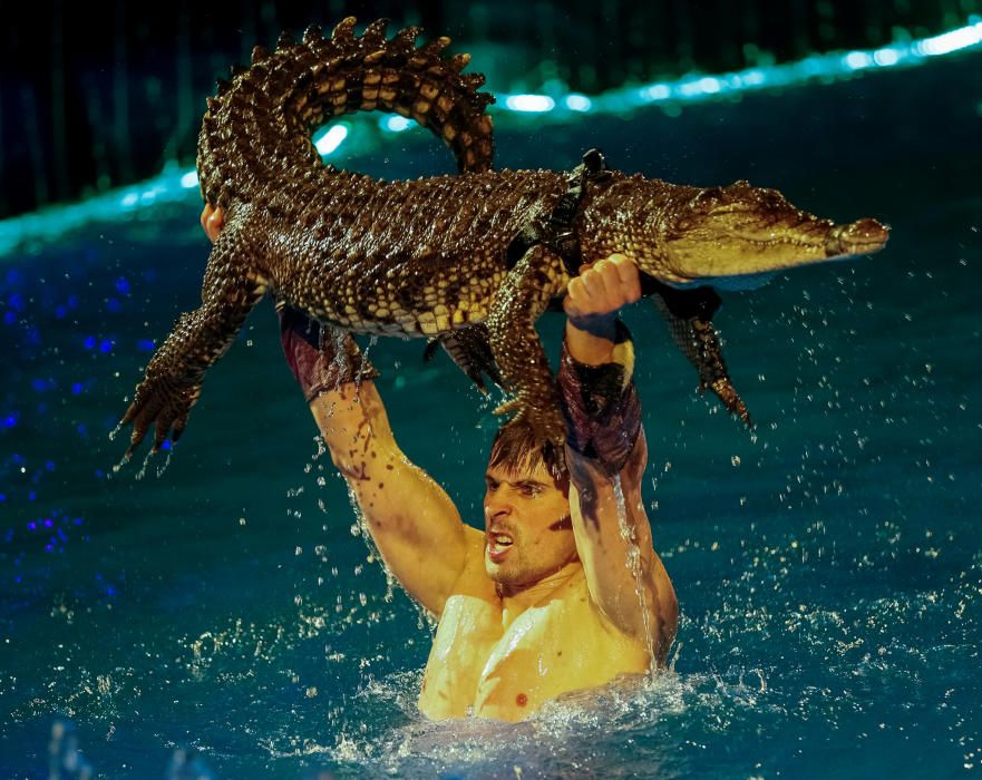 Un cocodrilo y su domador actúan durante la presentación del nuevo show 'Agua y Fuego' del Circo Nacional en Kiev, Ucrania.