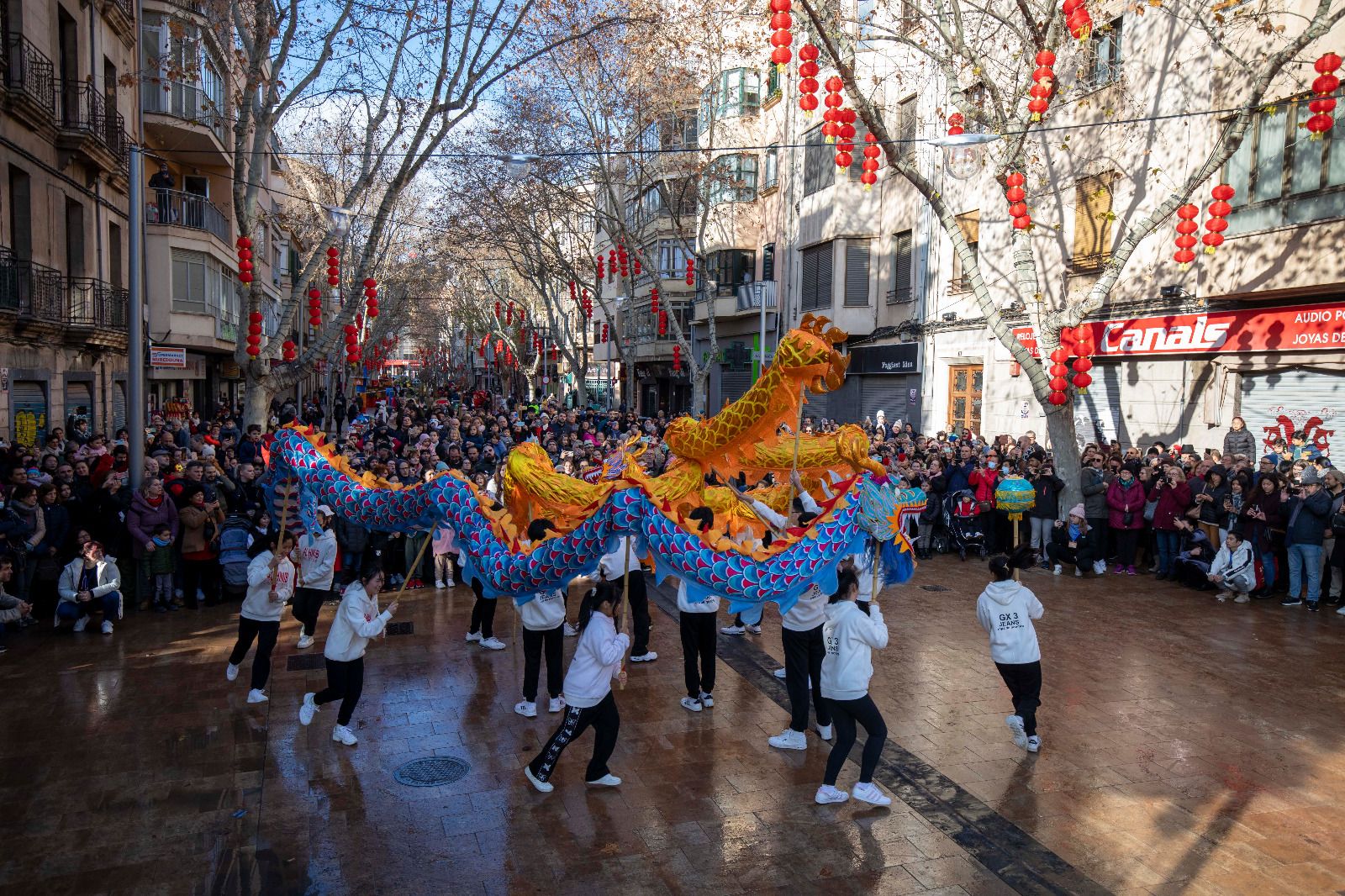 Palma celebra el Año Nuevo Chino