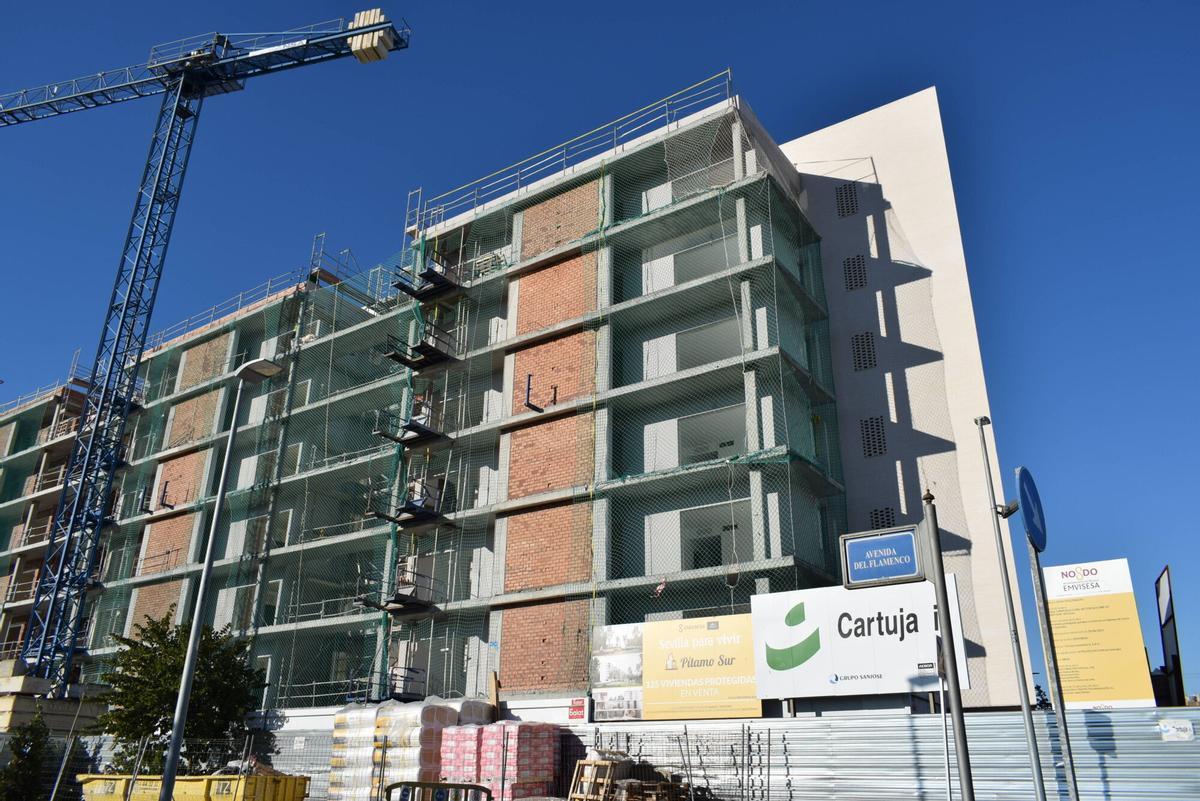 Promoción de viviendas de Emvisesa en la avenida del Flamenco en el barrio de Bellavista. Denominada Entreolivos-Bellavista está ubicada en la zona de Pítamo Sur de Sevilla