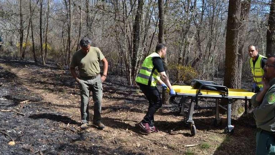 Personal sanitario durante las labores del traslado de la persona hallada muerta ayer en un paraje de Valdespino.