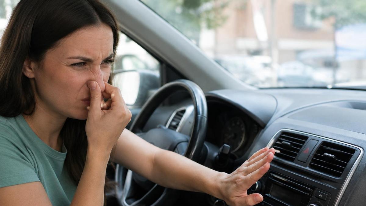 El truco de un mecánico para evitar el mal olor del aire acondicionado del coche: “No es humedad sin más”