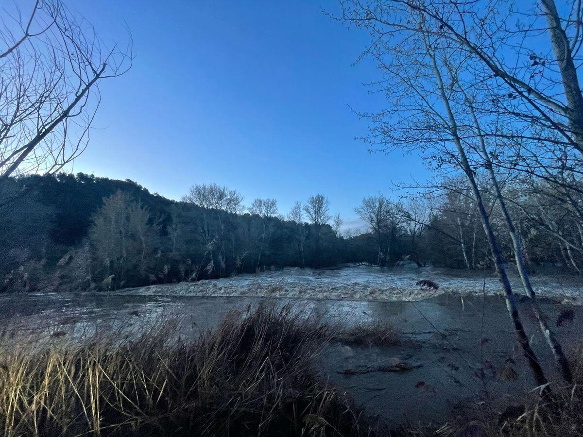 Así se encontraba el río Henares el 9 de marzo de 2025