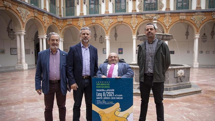 El Foro Andaluz del Bienestar Mental organiza unas jornadas en la Diputación para evaluar la aplicación de la Ley 8/2021