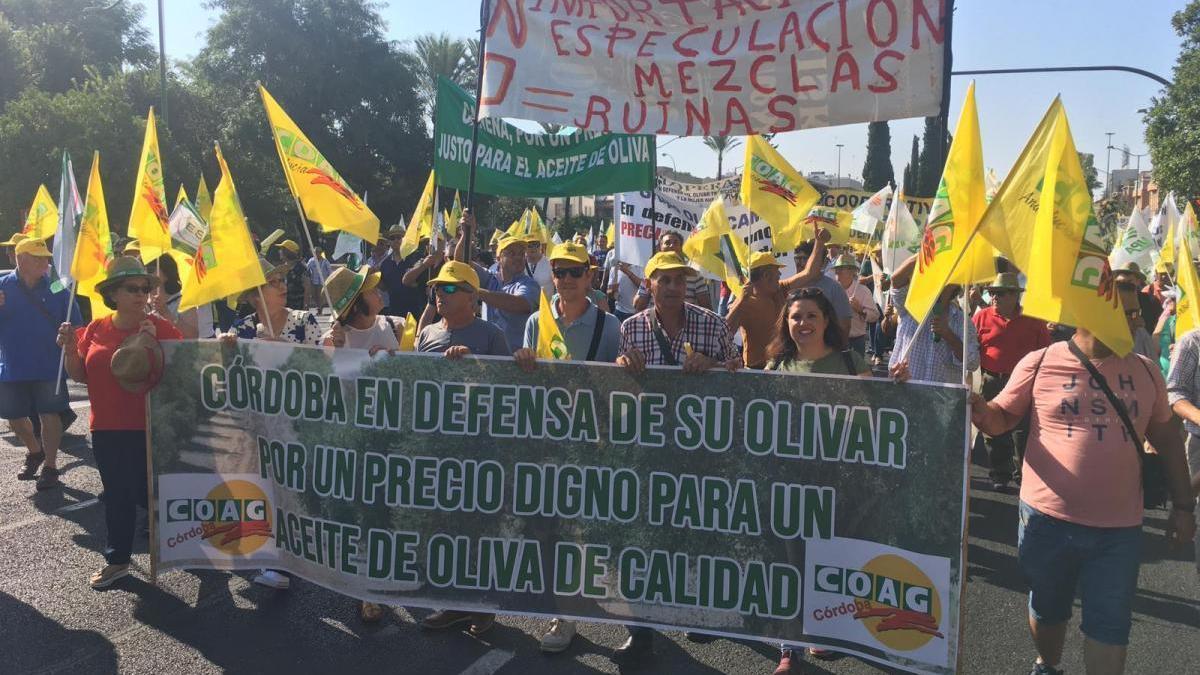 Miles de olivareros se manifiestan por las calles de Sevilla en defensa de “precios dignos” para el aceite