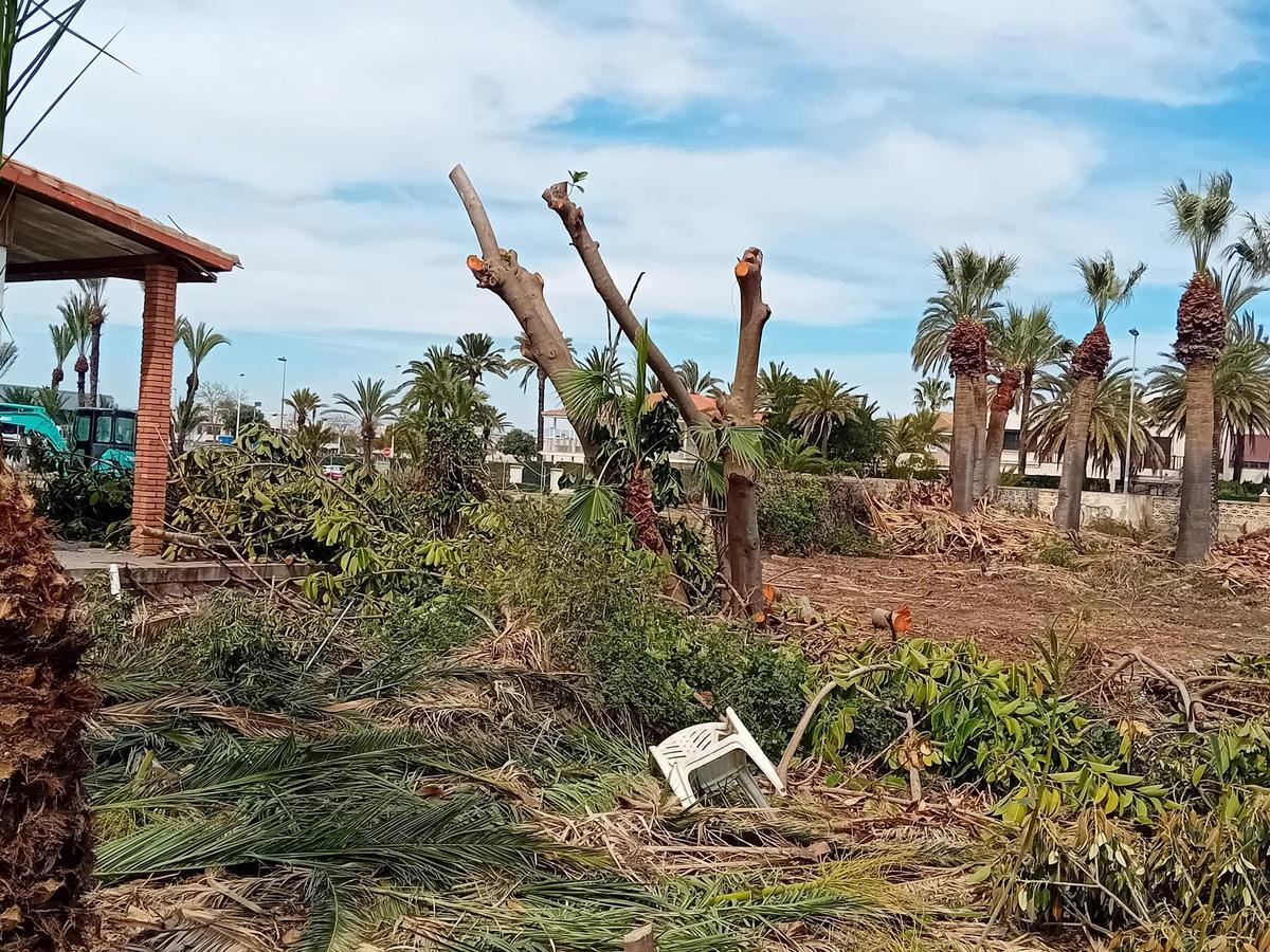 Trabajos de limpieza en una parcela de uso hotelero en La Veleta de Torrevieja
