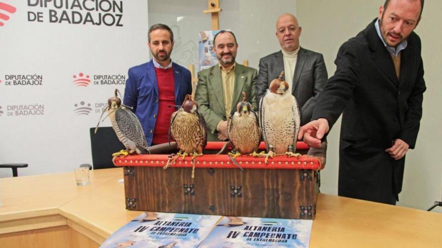 Los mejores halcones del país se darán cita en Llerena para competir