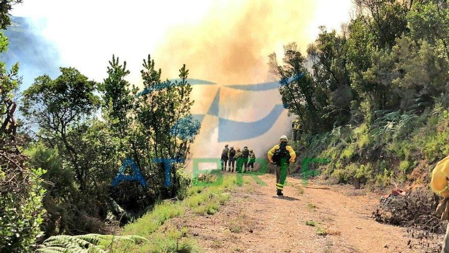 Integrantes de la brigada de Tineo dirigen al foco del incendio.