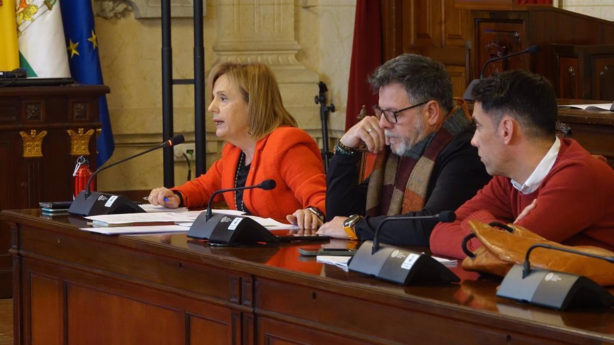 La viceportavoz del PSOE de Málaga, Begoña Medina