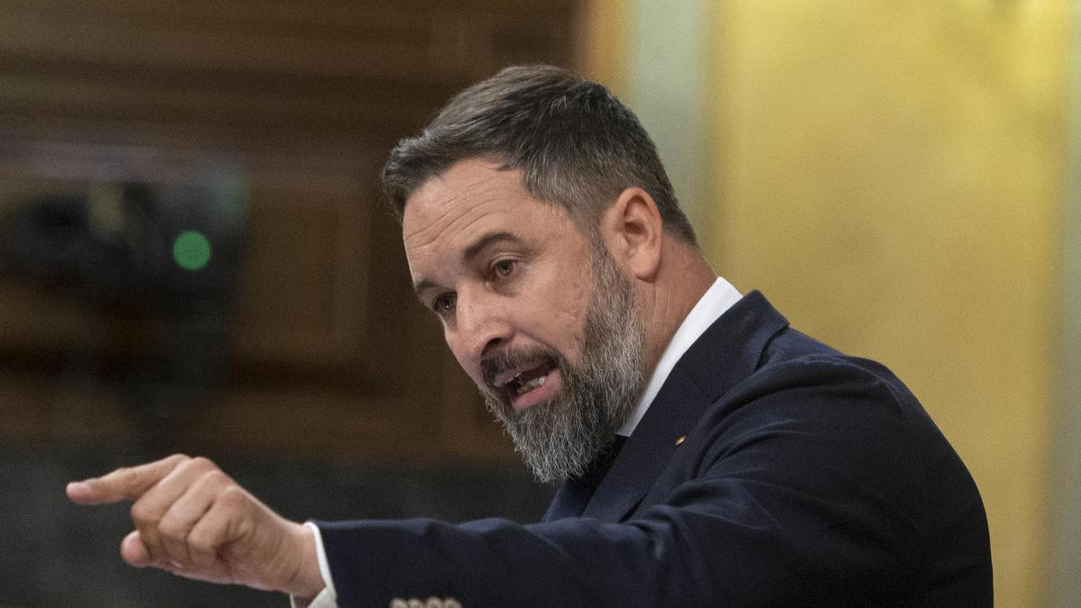 Abascal en el Congreso