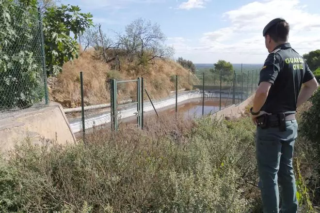 El escenario de uno de los mayores vertidos de purines en Castellón: un desastre ecológico