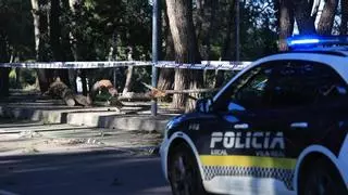 Directo | Vientos de 172 km/h azotan Castellón y causan destrozos