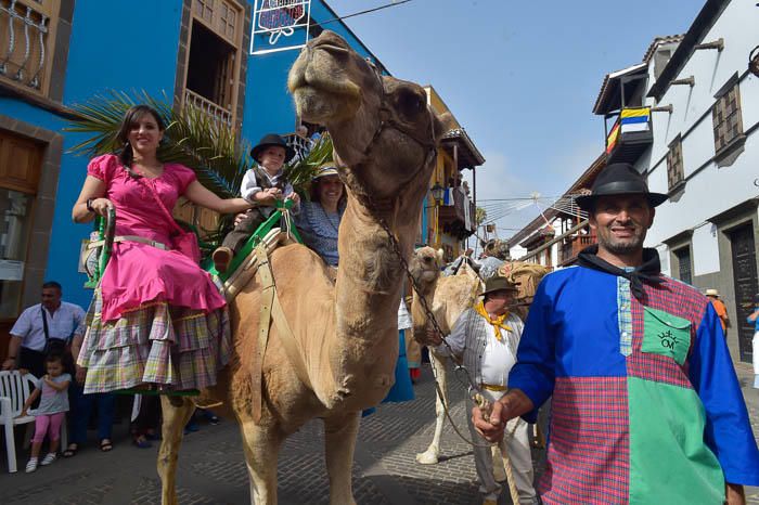 Carretas y grupos en la romería del Pino