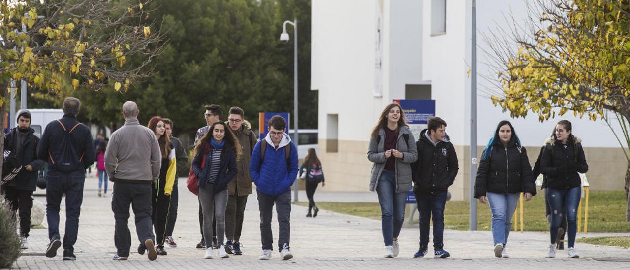 Estudiantes en el campus de la Universidad de Alicante.