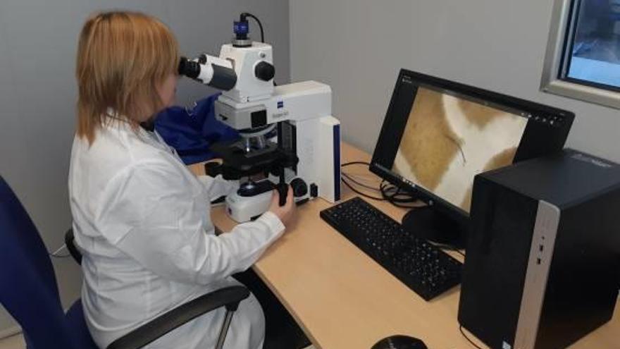 Una investigadora de la Universidad de Alicante observa por un microscopio.