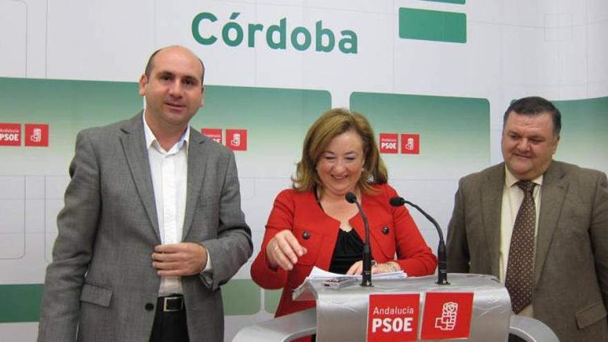 El PSOE-A llevará mociones a ayuntamientos para que Gobierno paralice el &quot;recorte&quot; en servicios sociales
