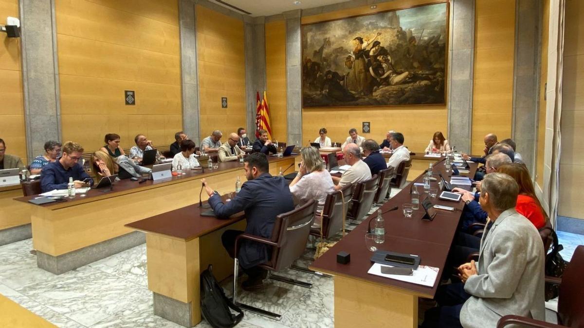 El ple de la Diputació de Girona en què s’ha aprovat la nova ajuda a la ramaderia | DG