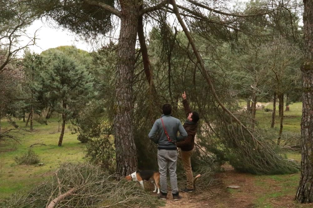 Temporal en Zamora.