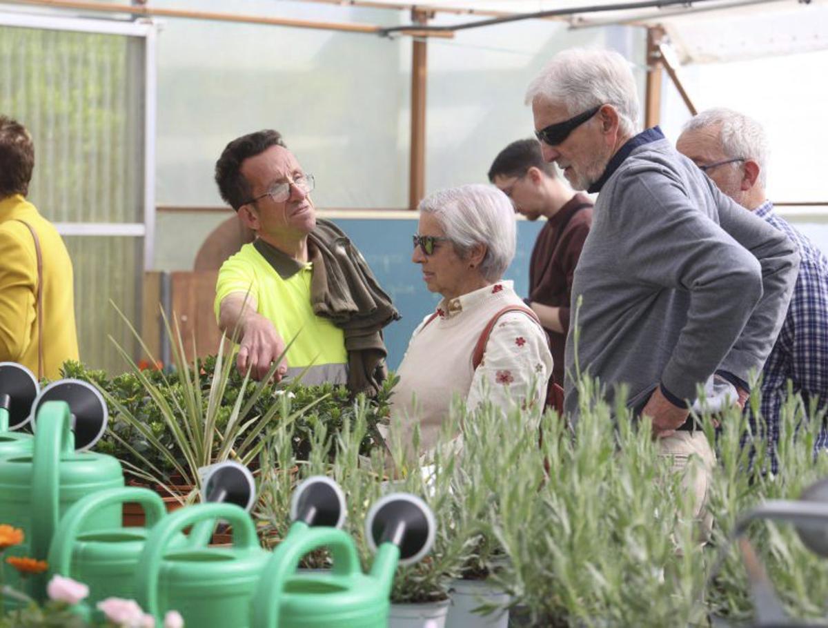 El Garden de Castiñeiras florece con vocación social y didáctica | GUSTAVO SANTOS