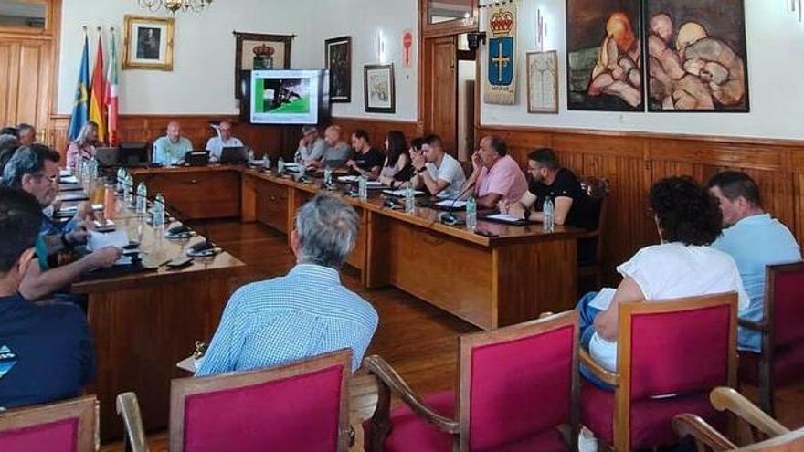 Medio Rural lleva capturadas más de 809.000 reinas de avispón asiático en ocho años de planes de control de la especie