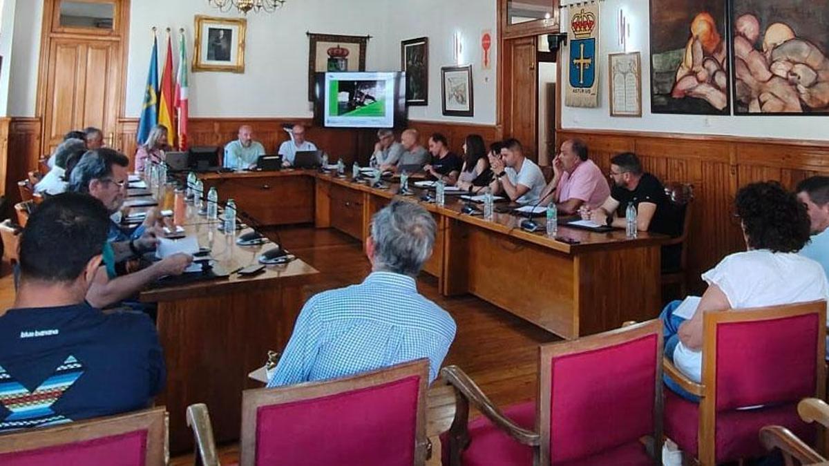 Medio Rural lleva capturadas más de 809.000 reinas de avispón asiático en ocho años de planes de control de la especie