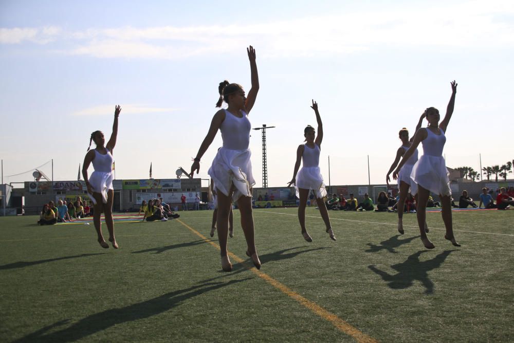 Más de 1.300 estudiantes de las comarcas de la Vega Baja y el Baix Vinalopó participan en la X edición de las Olimpiadas Clásicas.