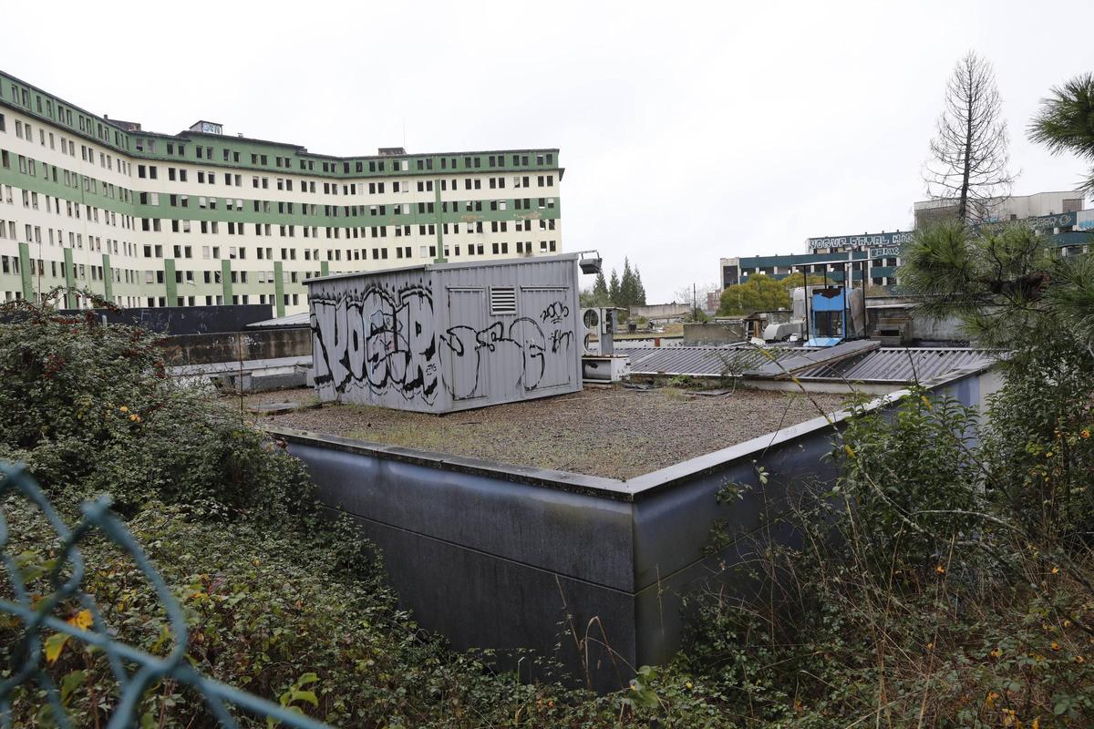 Estado de los hongos del viejo HUCA