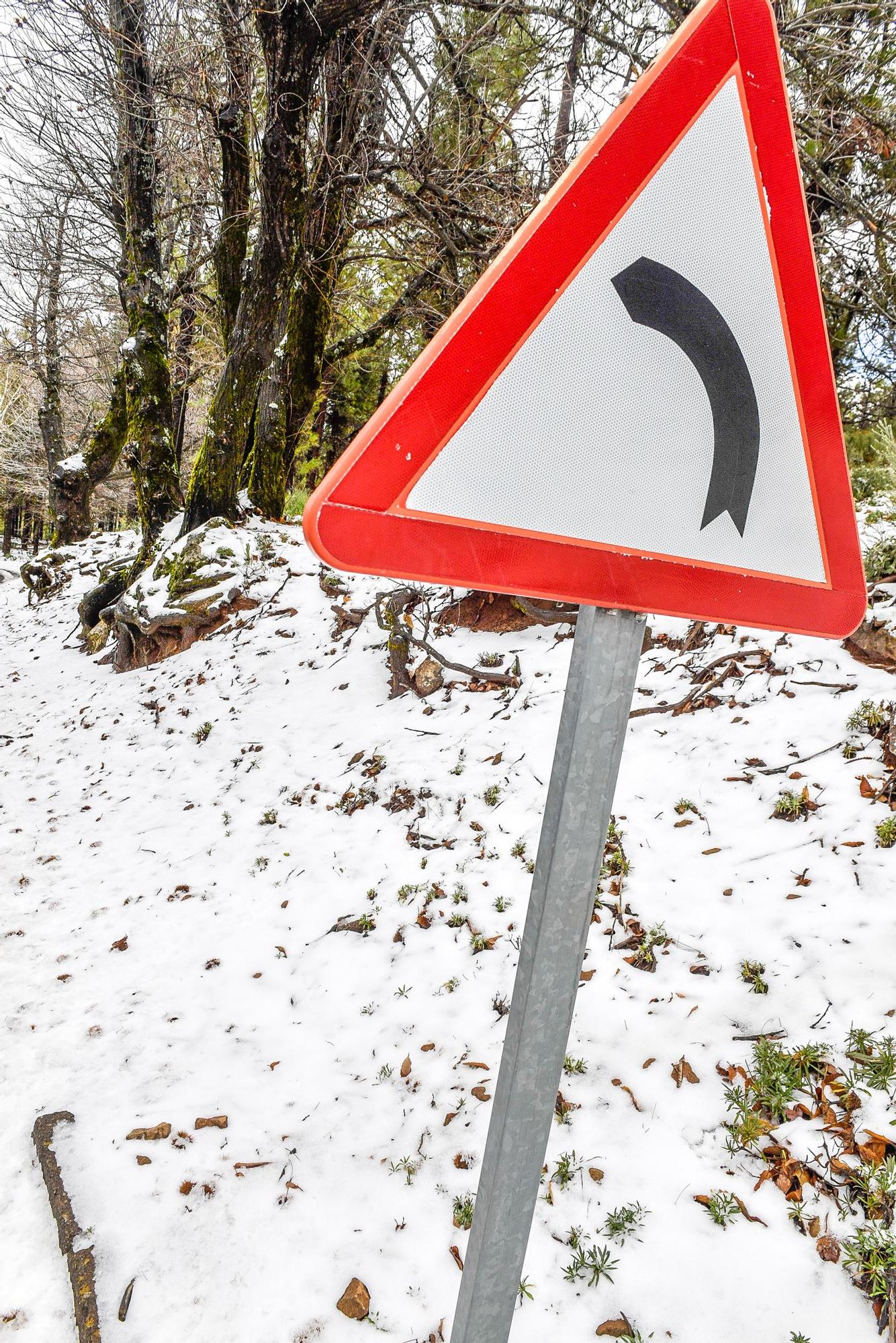 Nevada en Gran Canaria (16/02/23)