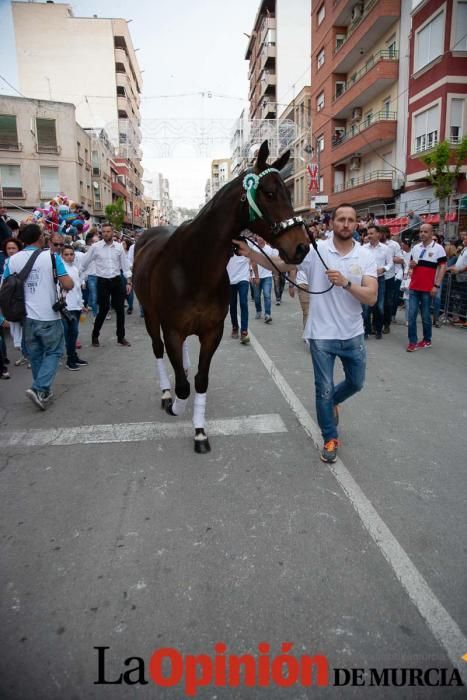 Caballos del Vino: Concurso morfológico (salida Pl