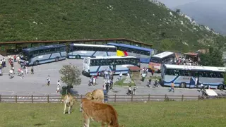 El conductor del autobús siniestrado en los Lagos suma 21 años de experiencia y cubre la ruta habitualmente