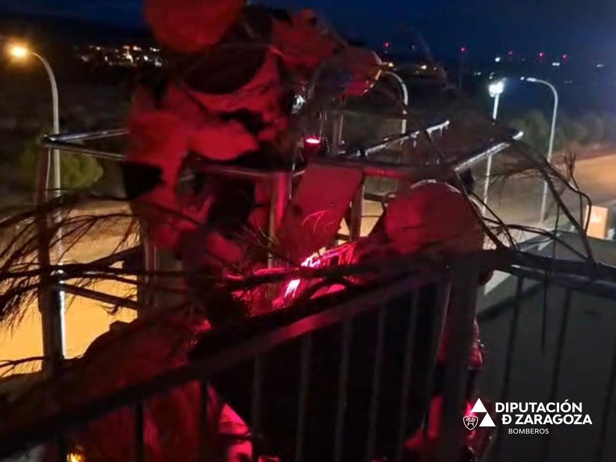 Los bomberos de ua dotación de Tarazona durante la retirada del nido de avispa asiática el pasado jueves en Borja