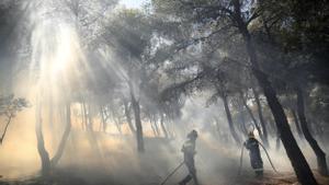 Hallan un cuerpo calcinado en el incendio a las puertas de Atenas que se ha logrado controlar