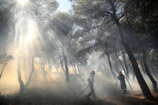 Hallan un cuerpo calcinado en el incendio a las puertas de Atenas que se ha logrado controlar